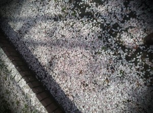 春の終わり